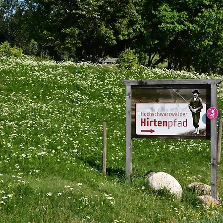 Apartment Anita - Hofebene Mit Sauna In Lenzkirch-kappel *
